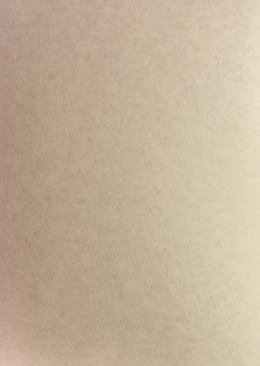 Parchment Paper 90gsm Natural Bulk Buy Soho Paper
